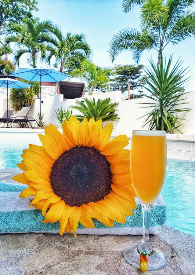 Casa Verde Hotel Rincon Buitenkant foto